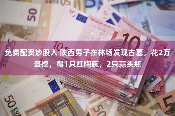 免费配资炒股入 陕西男子在林场发现古墓，花2万盗挖，得1只红陶碗，2只蒜头瓶