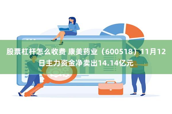 股票杠杆怎么收费 康美药业（600518）11月12日主力资金净卖出14.14亿元