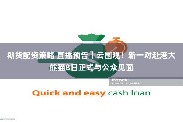 期货配资策略 直播预告｜云围观！新一对赴港大熊猫8日正式与公众见面