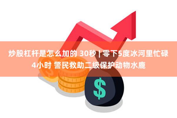 炒股杠杆是怎么加的 30秒 | 零下5度冰河里忙碌4小时 警民救助二级保护动物水鹿