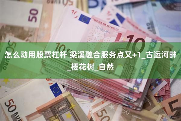 怎么动用股票杠杆 梁溪融合服务点又+1_古运河畔_樱花树_自然