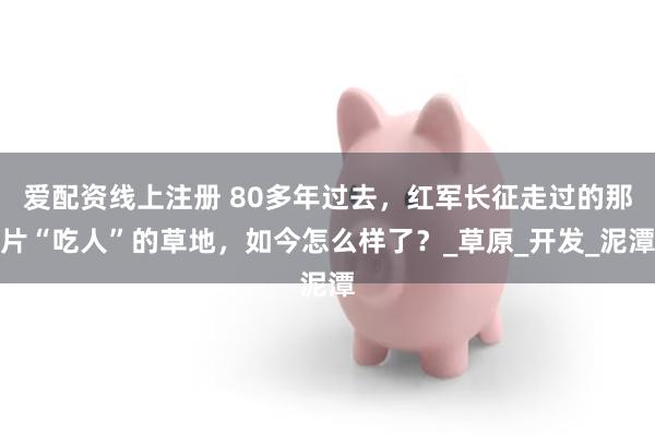 爱配资线上注册 80多年过去，红军长征走过的那片“吃人”的草地，如今怎么样了？_草原_开发_泥潭