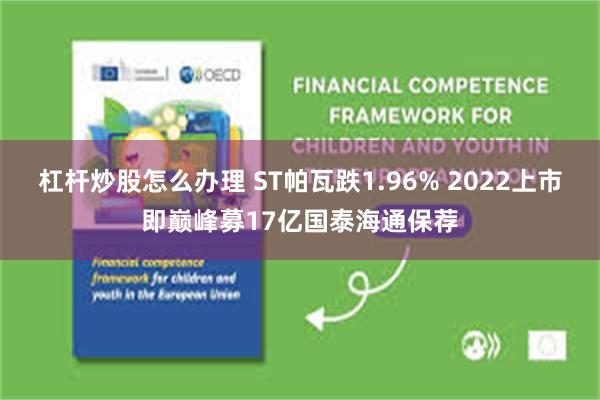 杠杆炒股怎么办理 ST帕瓦跌1.96% 2022上市即巅峰募17亿国泰海通保荐