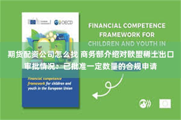 期货配资公司怎么找 商务部介绍对欧盟稀土出口审批情况：已批准一定数量的合规申请