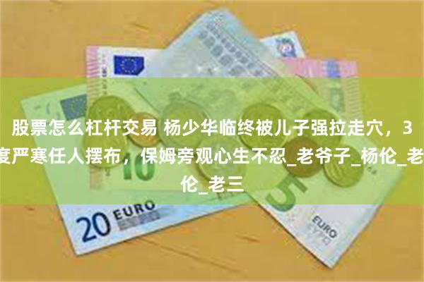 股票怎么杠杆交易 杨少华临终被儿子强拉走穴，30度严寒任人摆布，保姆旁观心生不忍_老爷子_杨伦_老三