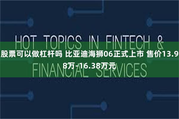 股票可以做杠杆吗 比亚迪海狮06正式上市 售价13.98万-16.38万元