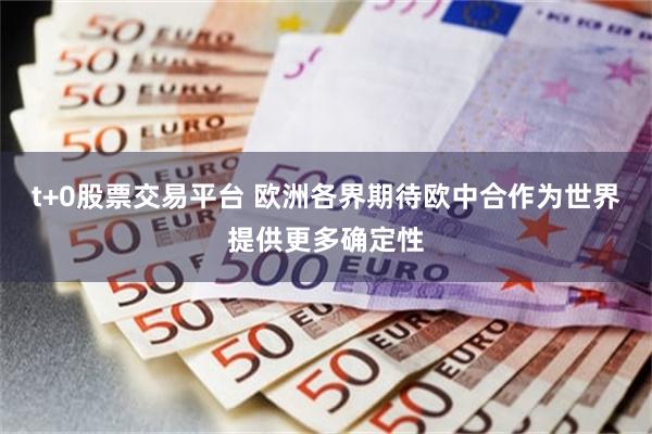t+0股票交易平台 欧洲各界期待欧中合作为世界提供更多确定性