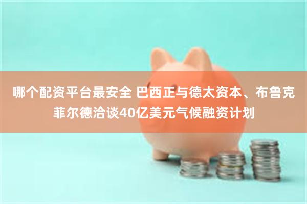 哪个配资平台最安全 巴西正与德太资本、布鲁克菲尔德洽谈40亿美元气候融资计划