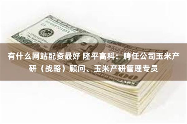 有什么网站配资最好 隆平高科：聘任公司玉米产研（战略）顾问、玉米产研管理专员