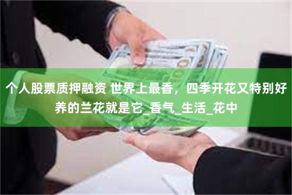 个人股票质押融资 世界上最香，四季开花又特别好养的兰花就是它_香气_生活_花中