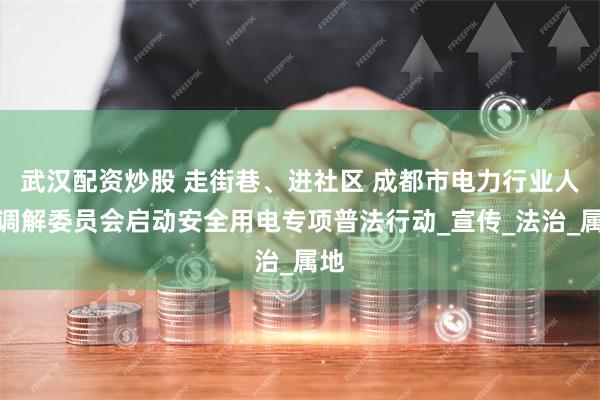 武汉配资炒股 走街巷、进社区 成都市电力行业人民调解委员会启动安全用电专项普法行动_宣传_法治_属地