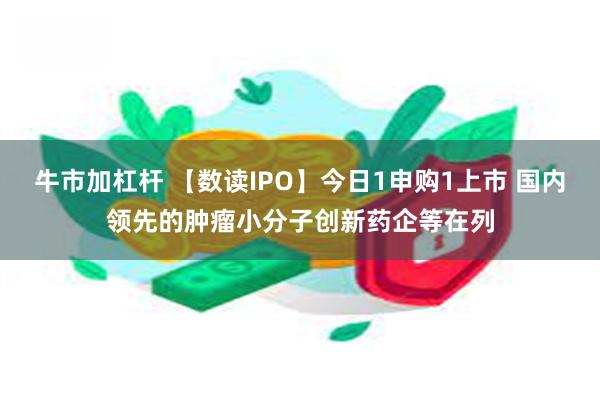 牛市加杠杆 【数读IPO】今日1申购1上市 国内领先的肿瘤小分子创新药企等在列